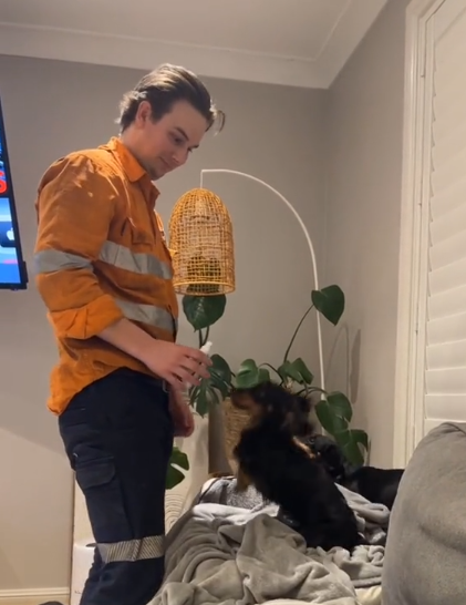 Dachshund’s Sweet Way of Asking Dad for Medicine